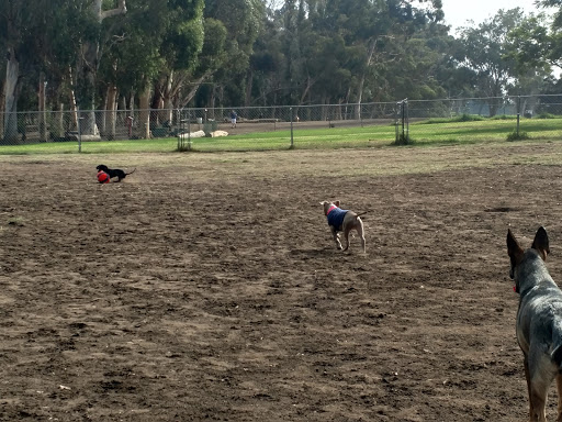 Grape Street Dog Park