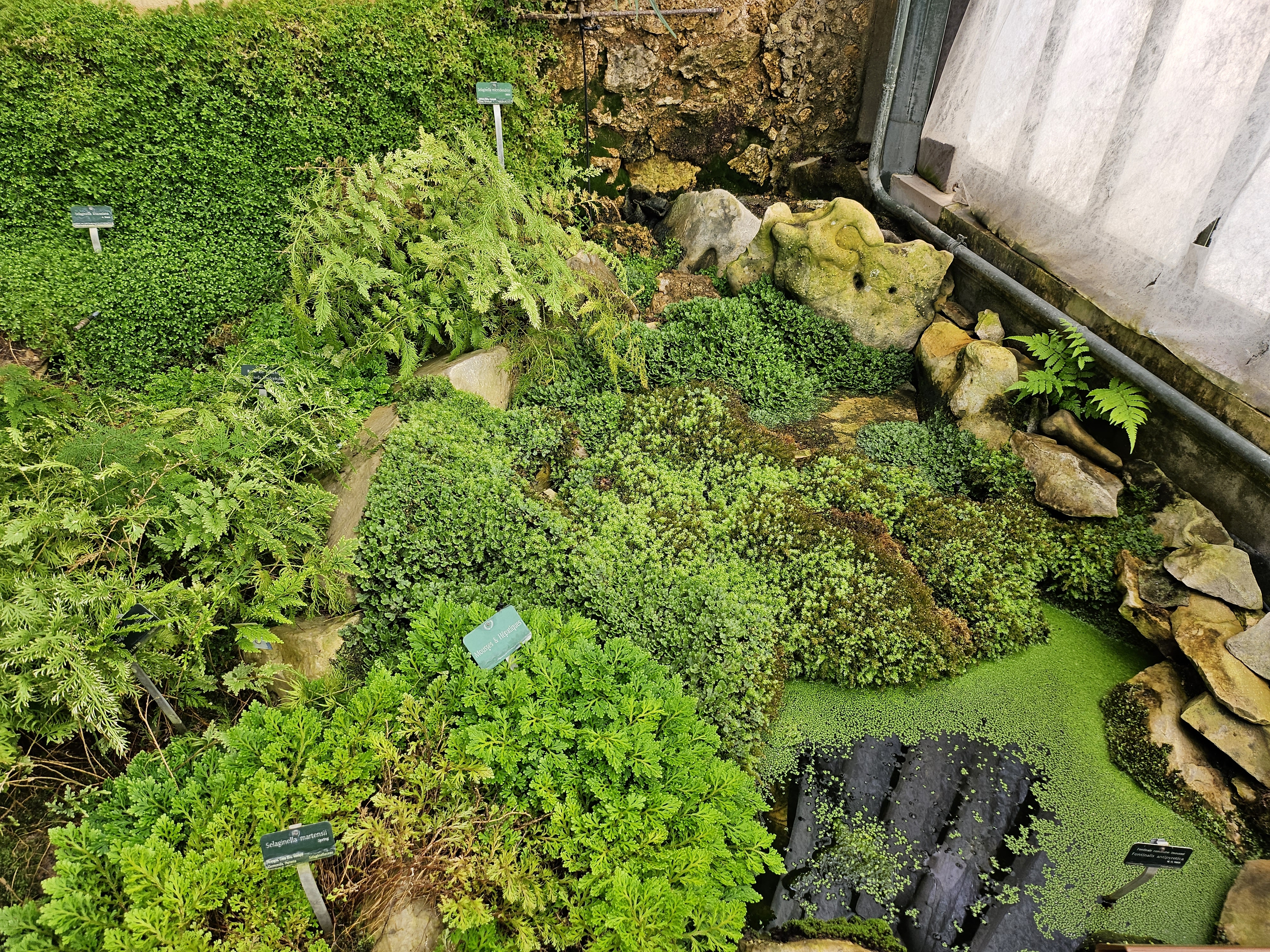 Photo n° 39 de l'avis de Romain.l fait le 10/08/2023 à 21:21