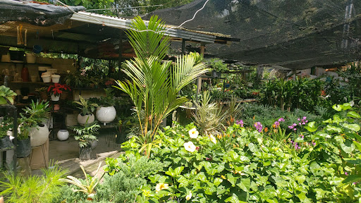 Jardín de Cañaveral