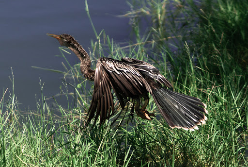 Recreation Center «Wa-Ke Hatchee Park Recreation Center», reviews and photos, 16760 Bass Rd, Fort Myers, FL 33908, USA