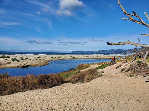 Nature Preserve «Monarch Butterfly Grove», reviews and photos, 400 S Dolliver St, Pismo Beach, CA 93449, USA