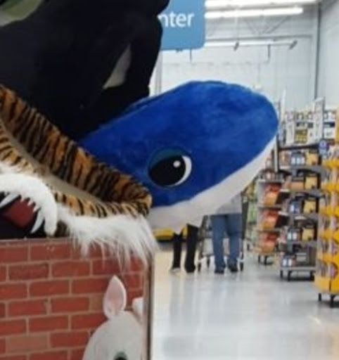 Department Store «Walmart Supercenter», reviews and photos, 2453 2nd Ave E, Oneonta, AL 35121, USA