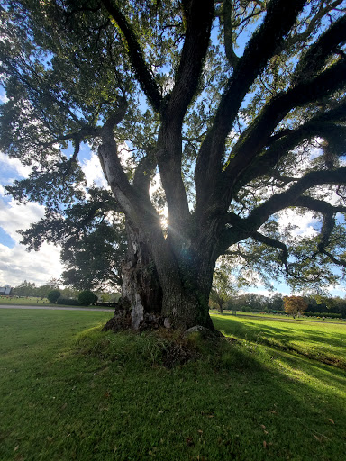 Cemetery «Mobile Memorial Gardens», reviews and photos, 6100 Three Notch Rd, Mobile, AL 36619, USA