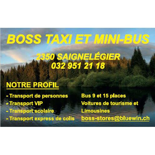 Boss Taxi et Mini-Bus Sàrl - Taxiunternehmen