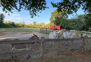 Photo n°7 de Mas du Menage en Camargue à Saintes-Maries-de-la-Mer ()