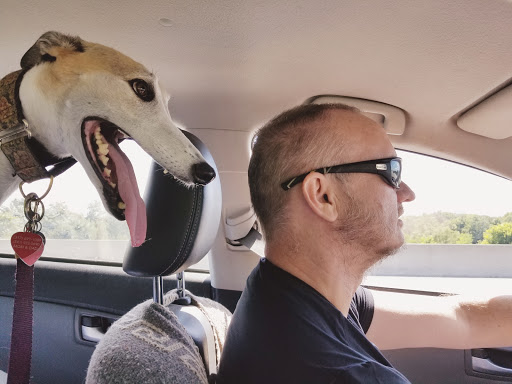 Pet Store «PetSmart», reviews and photos, 2211 Barrett Dr, Greenfield, IN 46140, USA