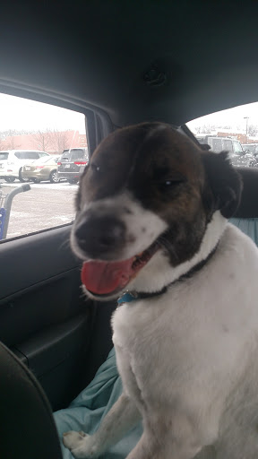 Pet Supply Store «PetSmart», reviews and photos, 7355 Market Pl Dr, Aurora, OH 44202, USA