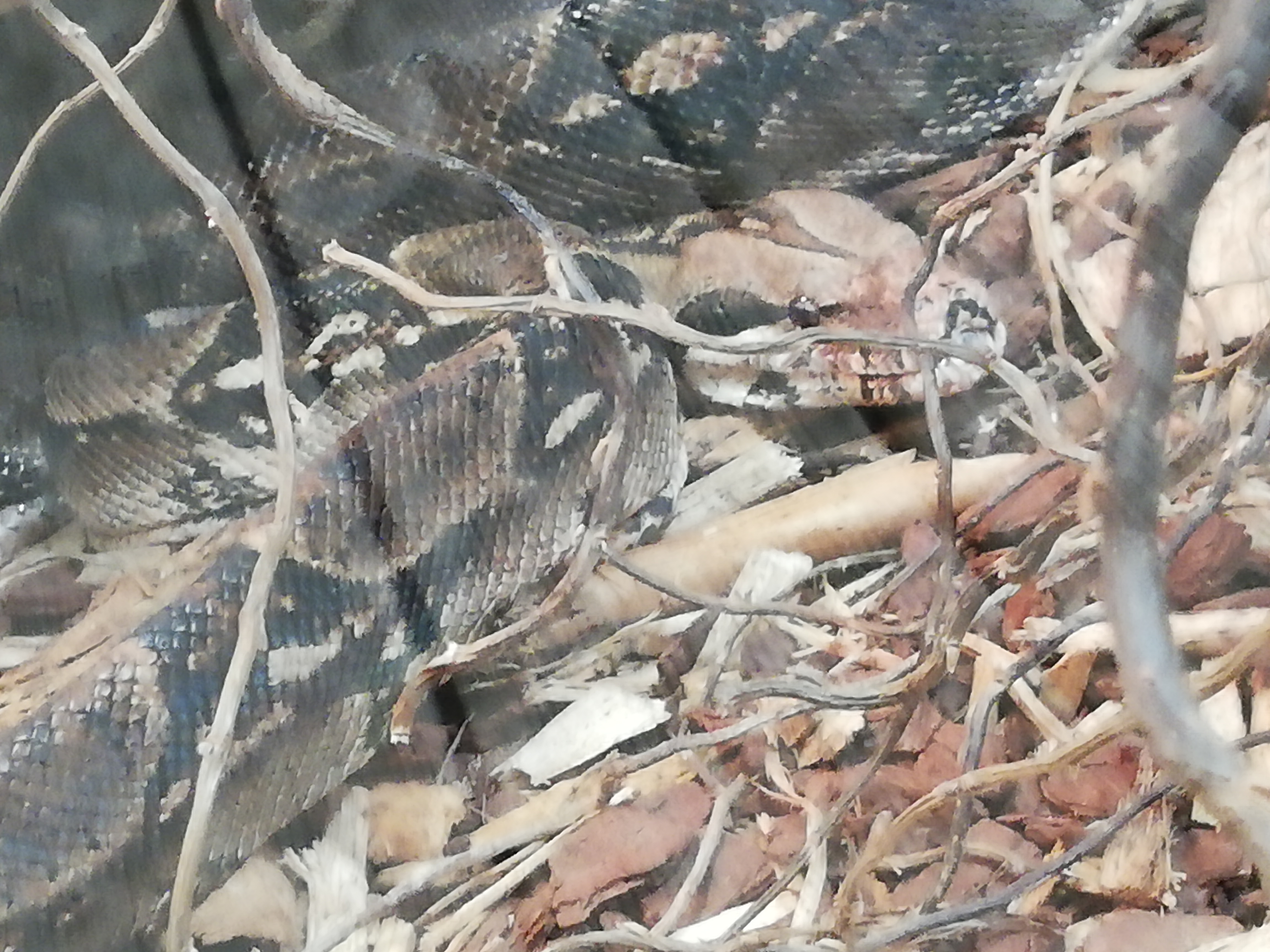 Photo n° 6 de l'avis de Saku'. fait le 06/06/2019 à 12:51