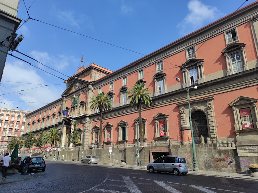 Places to study early childhood education in Naples