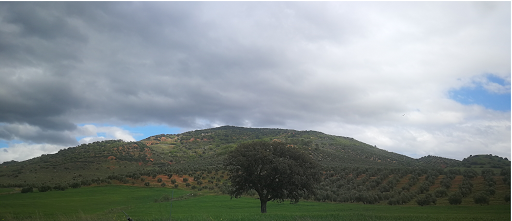 Agroguadalimar en Sorihuela del Guadalimar, Jaén