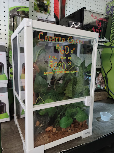 Pet Store «The Pet Stop Pet Shop», reviews and photos, 5152 Route 9w, Newburgh, Newburgh, NY 12550, USA