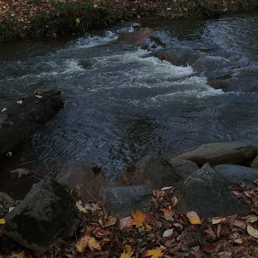 Park «Lynden City Park», reviews and photos
