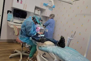 HulaGrins Pediatric Dentistry, Sena Hiradate DDS image