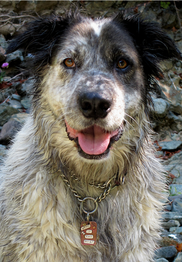 Jewelry Designer «Stacey Lamothe Art», reviews and photos, 218 Washington St, Auburn, CA 95603, USA