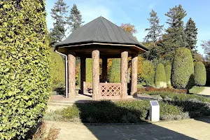 Rosengarten im Volkspark image