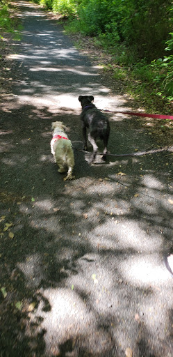 Nature Preserve «Edwin B. Forsythe National Wildlife Refuge- deCamp Wildlife Trail», reviews and photos, 365 Mantoloking Rd, Brick, NJ 08723, USA