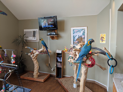 Bird Shop «Parrot & Bird Emporium Inc», reviews and photos, 360 N Westfield St, Feeding Hills, MA 01030, USA