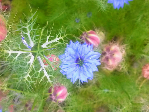 History Museum «SLATER MILL-Historic Site», reviews and photos, 67 Roosevelt Ave, Pawtucket, RI 02860, USA