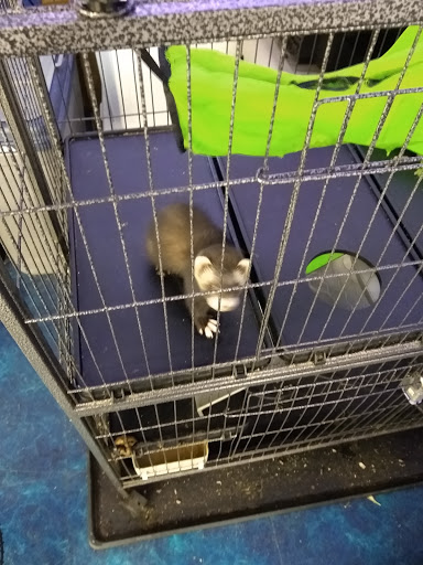 Pet Supply Store «Pet Supplies Plus», reviews and photos, 1380 W Lane Ave, Upper Arlington, OH 43221, USA