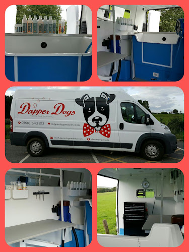 Dapper Dogs Mobile Dog Grooming