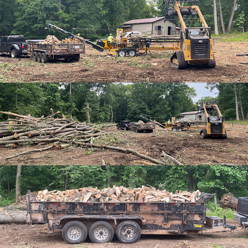Logging contractor Ann Arbor
