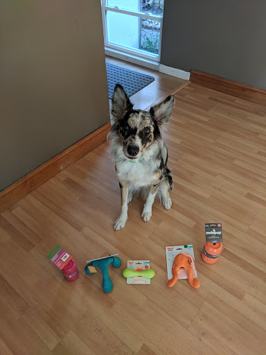 Pet Supply Store «Pet Food Express», reviews and photos, 785 Oak Grove Rd, Concord, CA 94518, USA