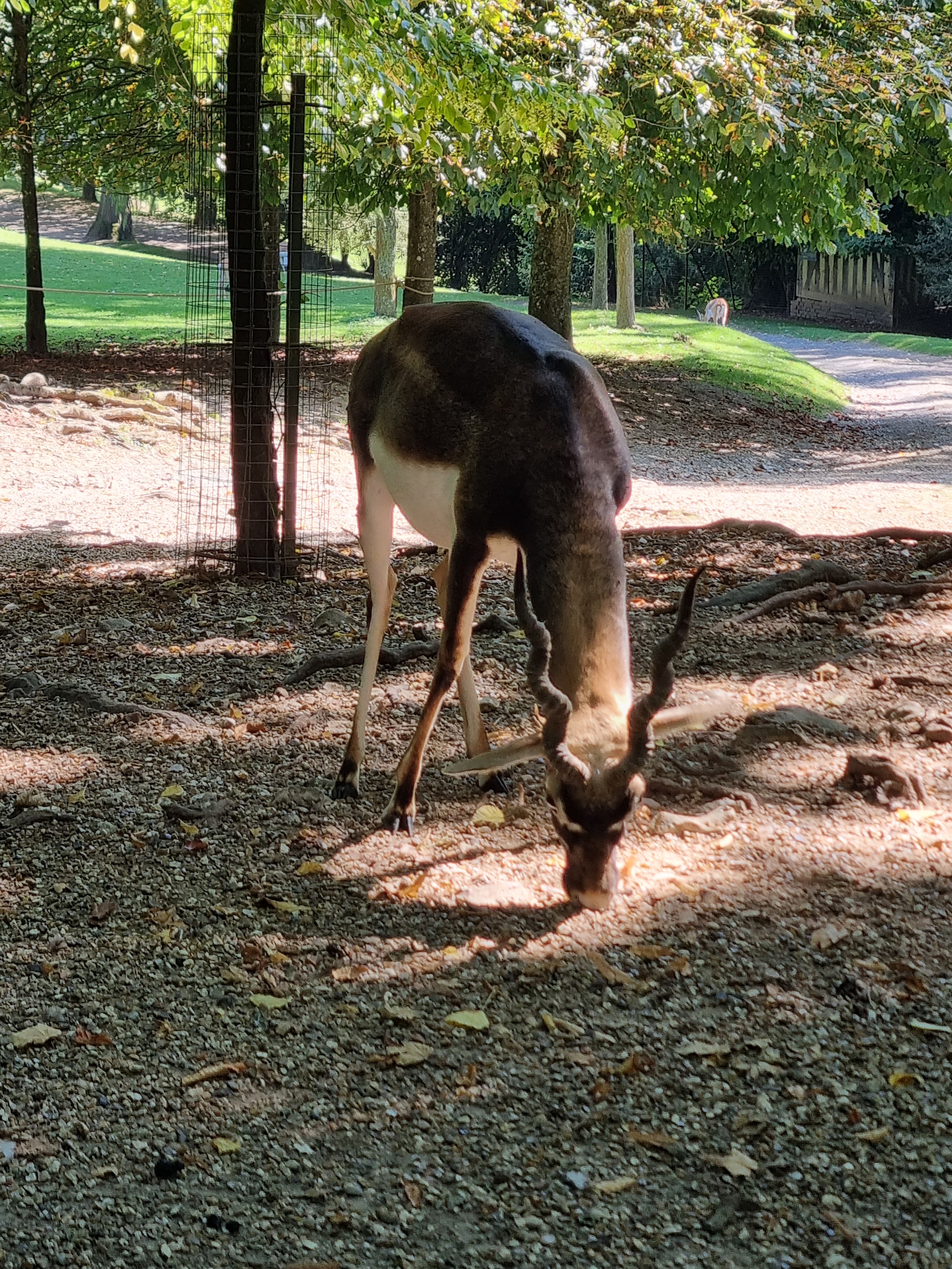 Photo n° 4 de l'avis de Thomas.o fait le 07/09/2023 à 18:11