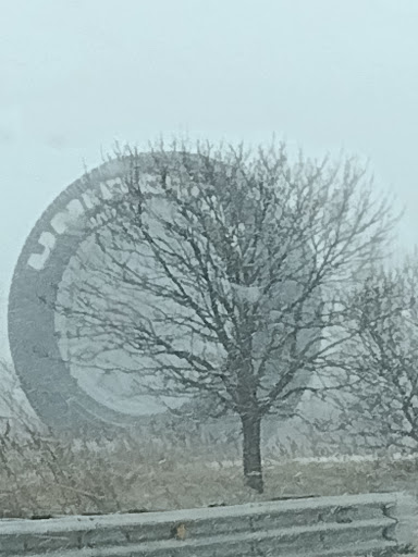 Sculpture «The Uniroyal Tire», reviews and photos, Detroit Industrial Expy, Allen Park, MI 48101, USA