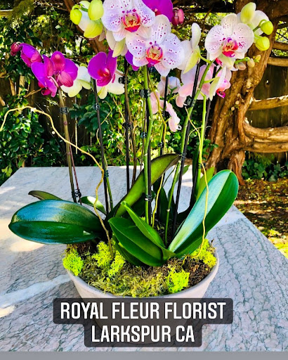 Florist «Le Florist of Larkspur - Royal Fleur», reviews and photos, 282 Magnolia Ave, Larkspur, CA 94939, USA