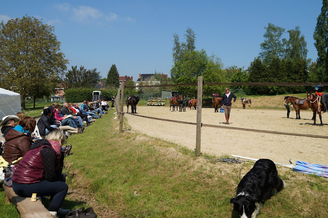 Reacties en beoordelingen van Poney-club des Cattys