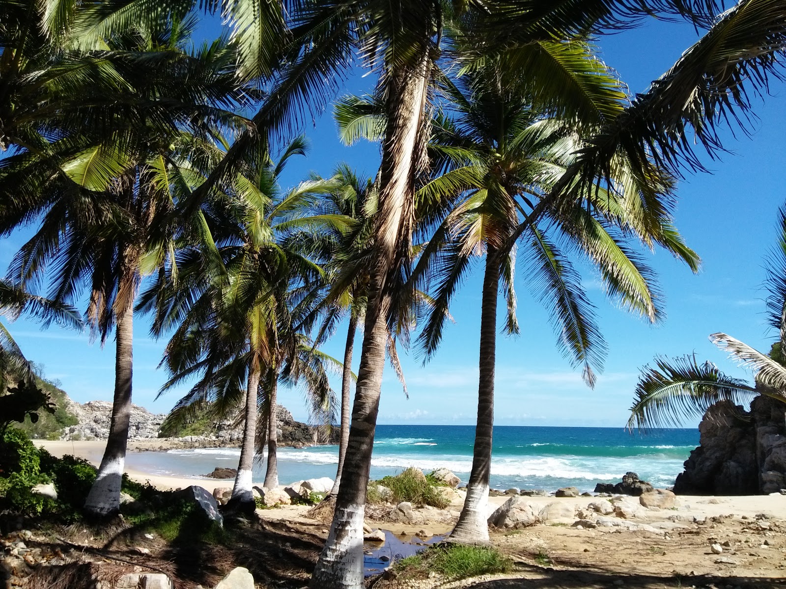 Photo de Tembo beach zone des équipements