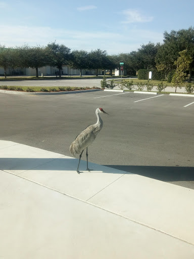 HVAC Contractor «Wentzels Heating & Air Conditioning», reviews and photos