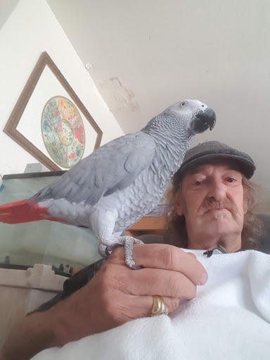 Pet Store «E & J Pets», reviews and photos, 5409 W Charleston Blvd, Las Vegas, NV 89146, USA