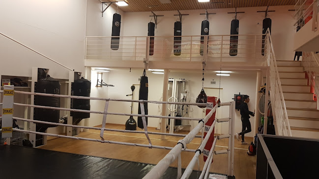 Rezensionen über Boxing Kings Club AG in Bern - Fitnessstudio