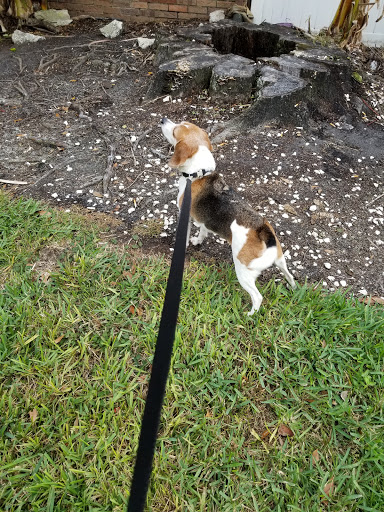 Recreation Center «Egypt Lake Recreation Center», reviews and photos, 3126 W Lambright St, Tampa, FL 33614, USA