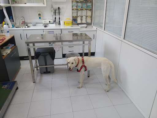 Hospital Veterinario Martorell en Martorell