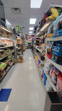 Sloppy Kisses - Photo 9 - Car repair in Henderson, NV, Henderson