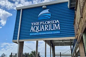 The Florida Aquarium Turtle Rehabilitation Center image