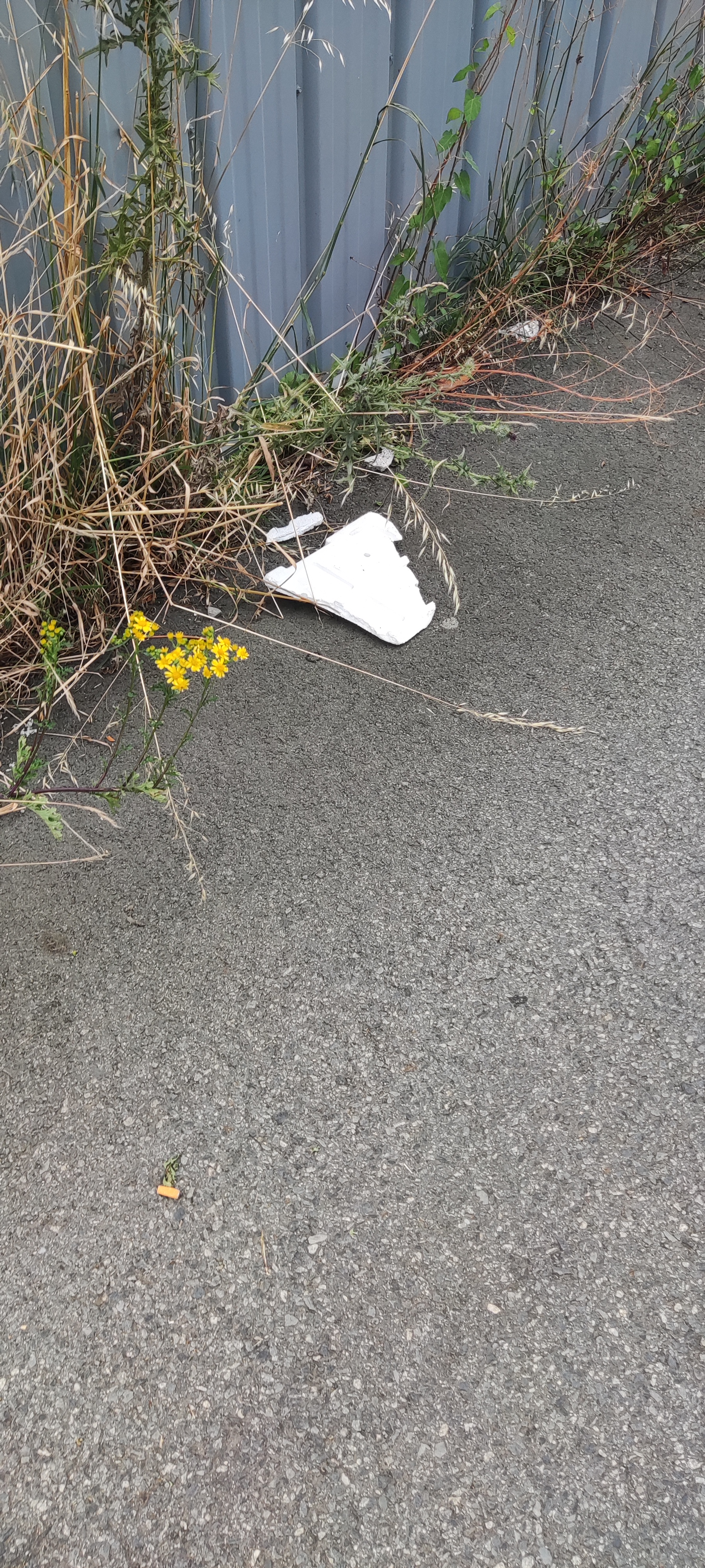 Photo n° 2 de l'avis de Io.a fait le 19/07/2023 à 13:33