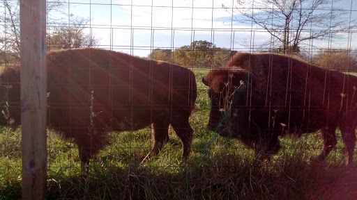 Golf Course «Hodge Park Golf Course», reviews and photos, 7000 NE Barry Rd, Kansas City, MO 64156, USA