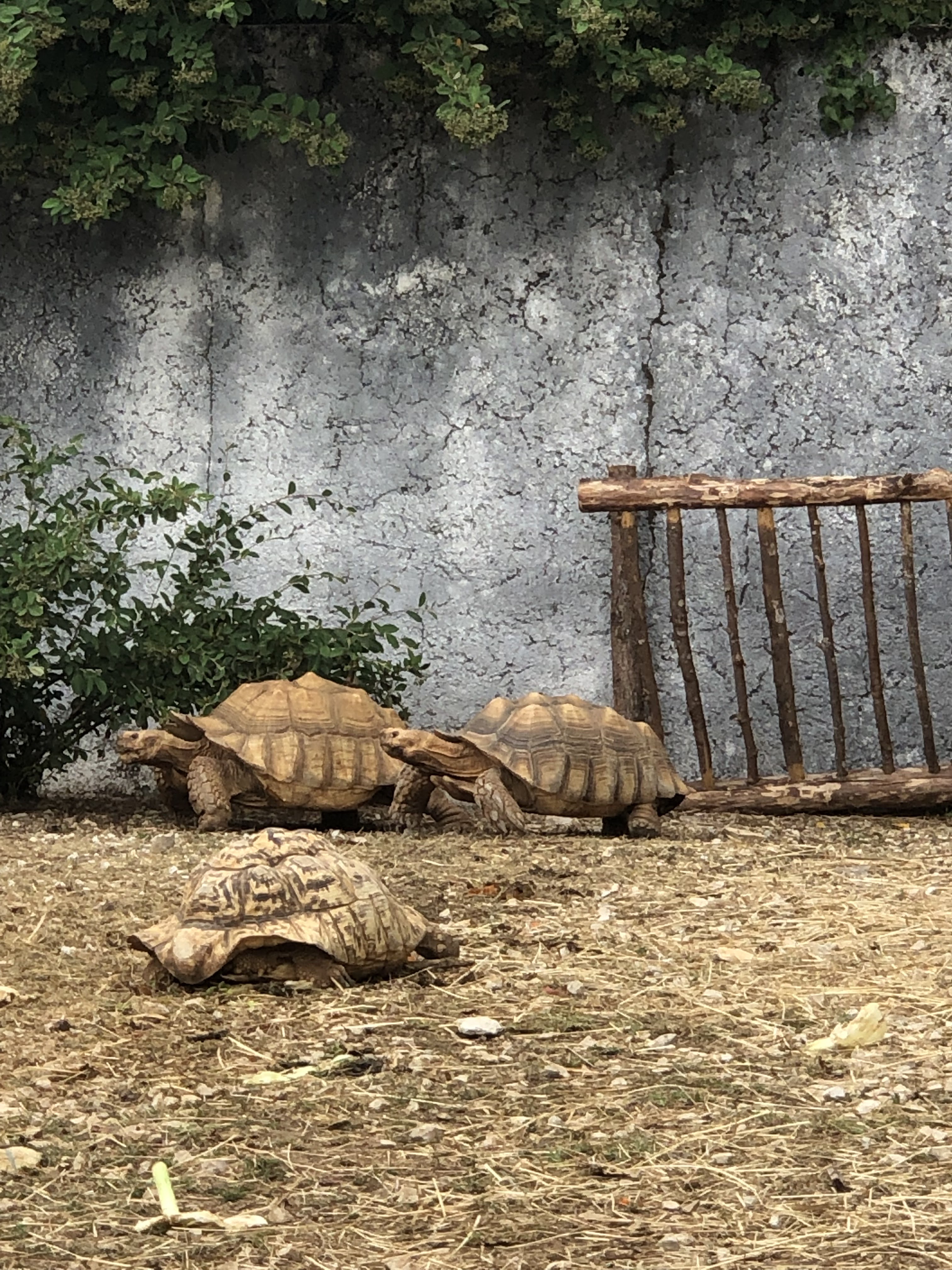 Photo n° 1 de l'avis de Nathalie.e fait le 29/07/2023 à 19:31