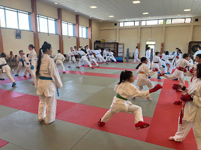 ASBrignoles Karaté à Brignoles