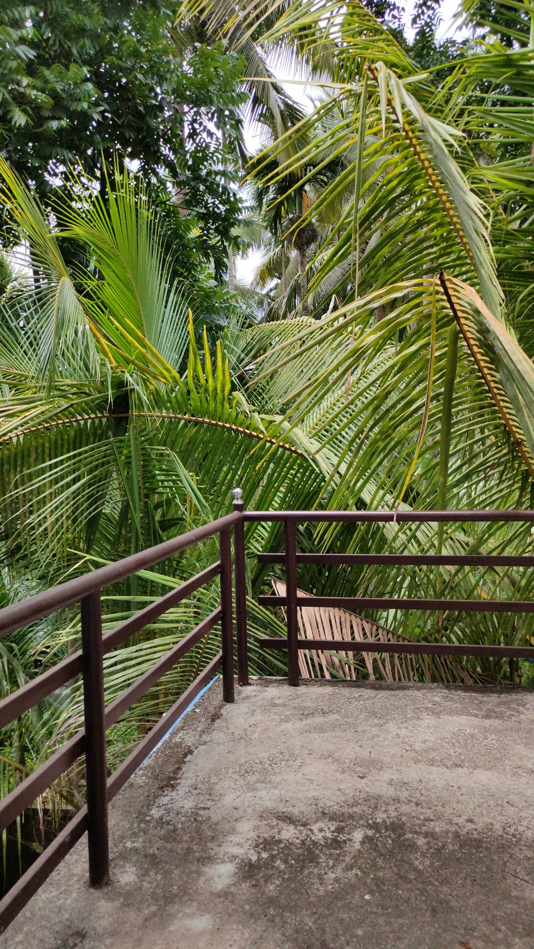 Abhilash Padickal