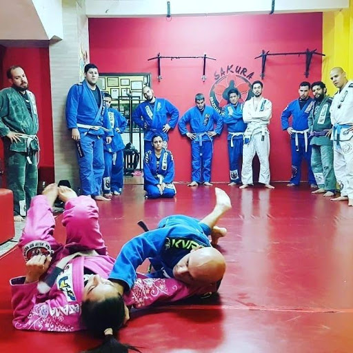 Sakura Jiu Jitsu & MMA