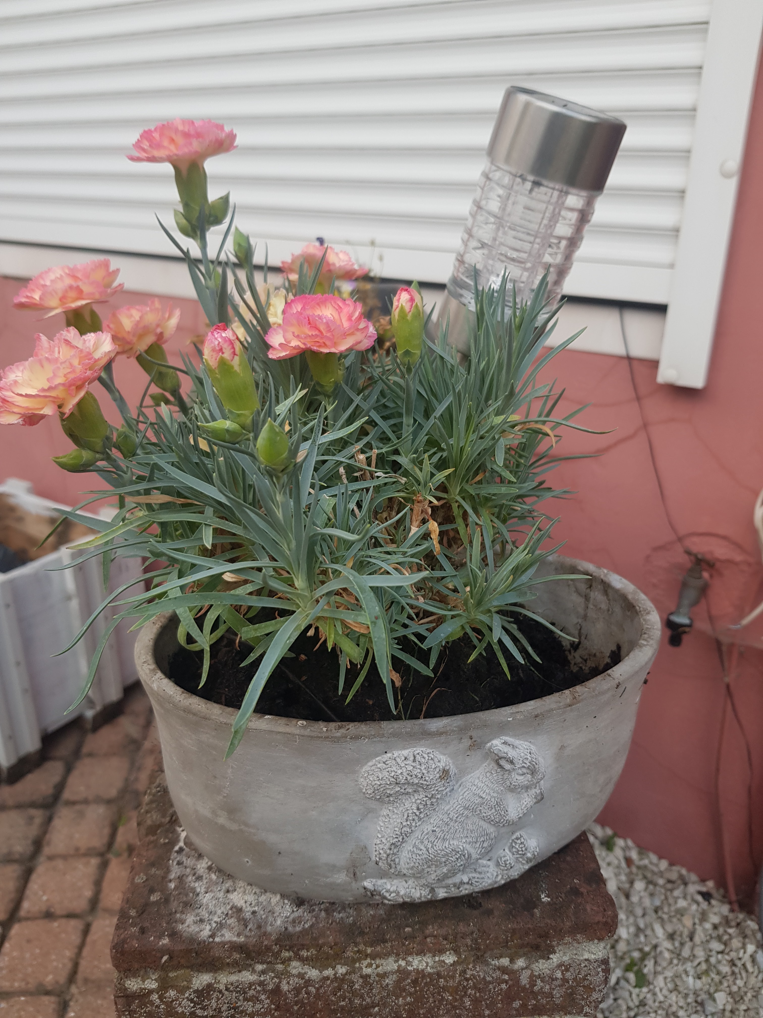 Photo n° 2 de l'avis de Alexandra.o fait le 01/07/2019 à 19:28