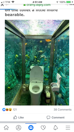 Pet Store «Critter Hut Aquarium & Pets», reviews and photos, 6637 Post Rd, North Kingstown, RI 02852, USA