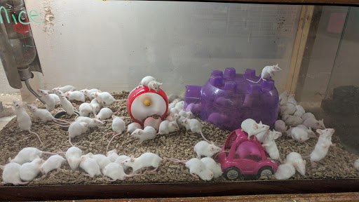 Pet Store «Pet World Warehouse Outlet», reviews and photos, 2148 W Beltline Hwy, Madison, WI 53713, USA