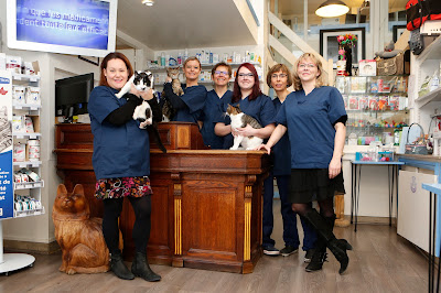 Clinique Vétérinaire Féline Le Havre des Chats à Le Havre