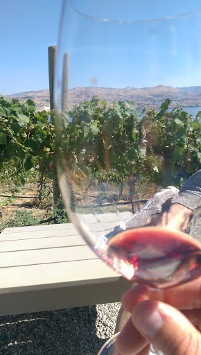 Winery «Fielding Hills Winery», reviews and photos, 565 S Lakeshore Rd, Chelan, WA 98816, USA