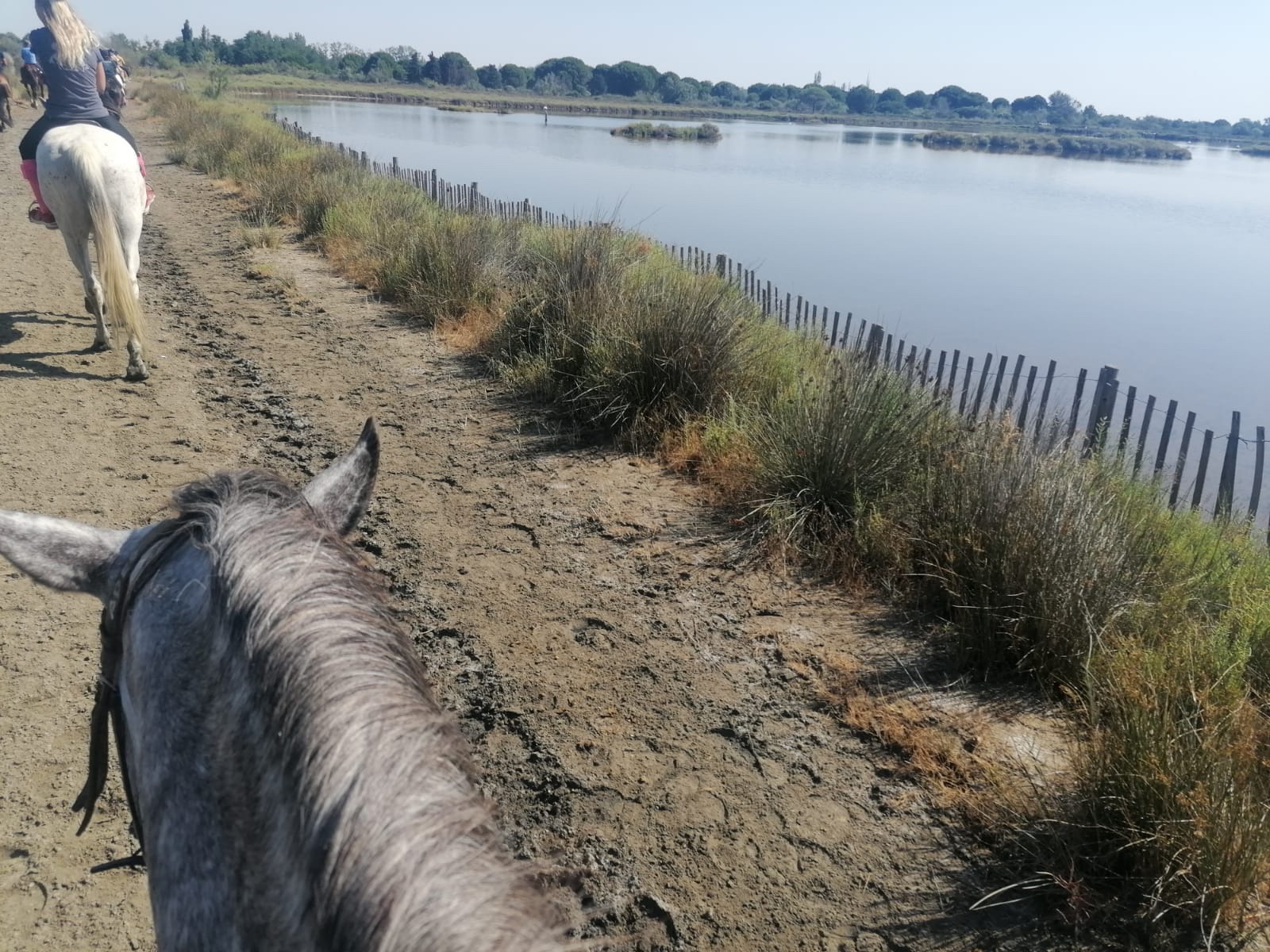 Photo n° 1 de l'avis de Noémie. fait le 10/07/2022 à 16:57